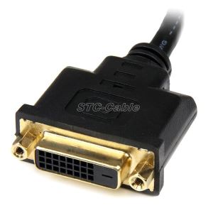 HDMI Male To DVI Female